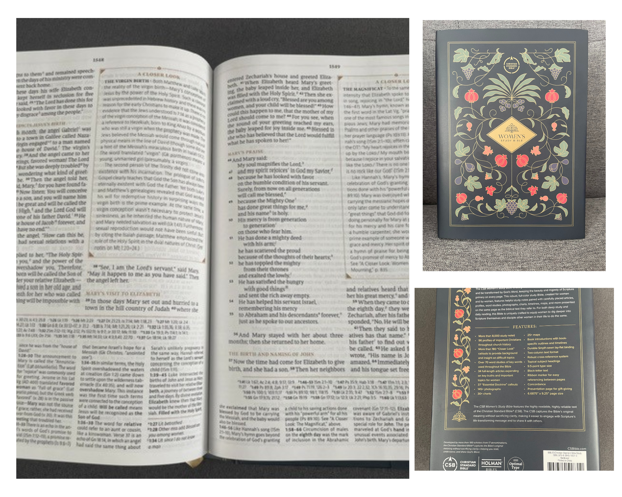 Woman's Study Bible